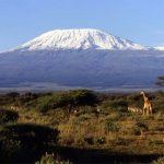 Can I Climb Kilimanjaro