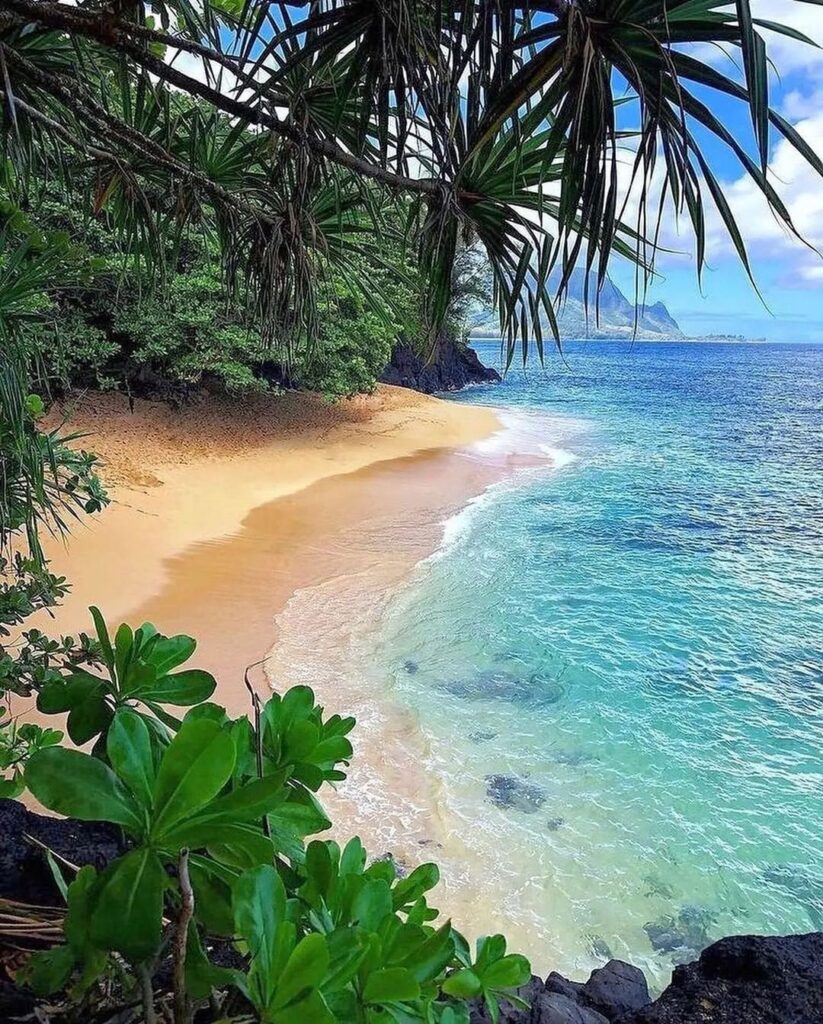 Beaches at Hawaii