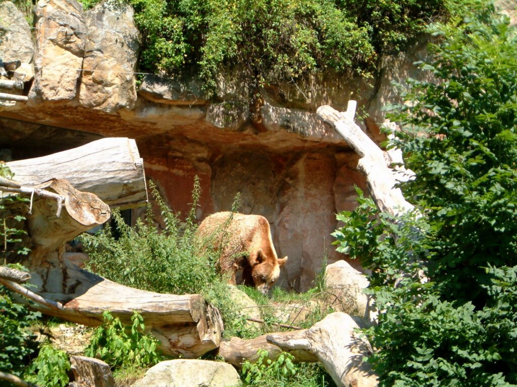Alpine Zoo, Innsbruck